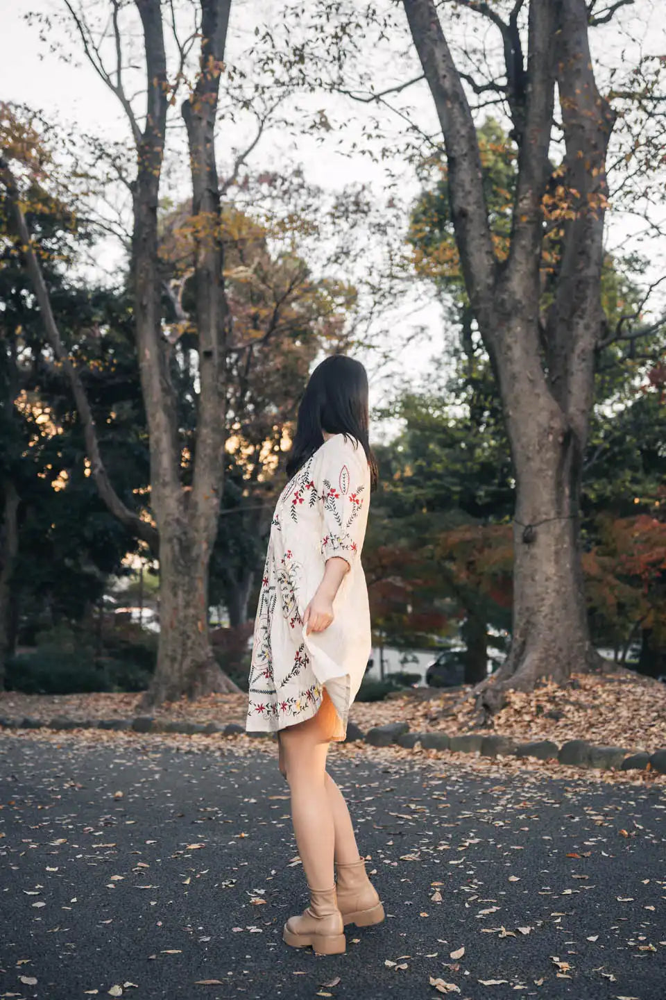 Boho Embroidered Short Dress